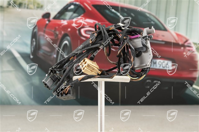 Instalacja elektryczna przednich drzwi, L