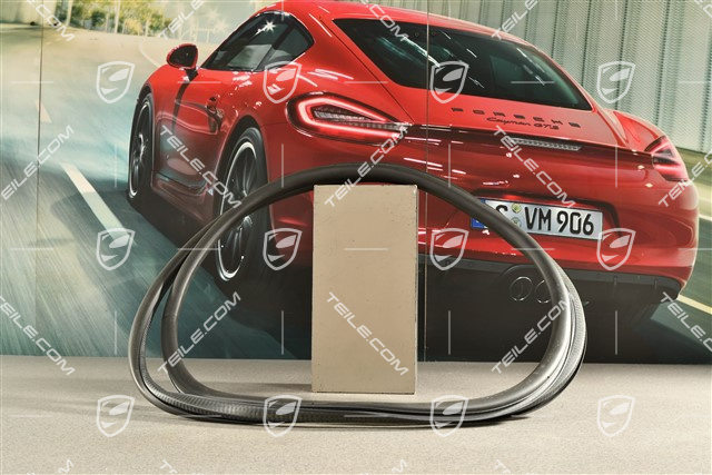 Hintertür, Tuerdichtung / Türdichtung, Aussen, L=R