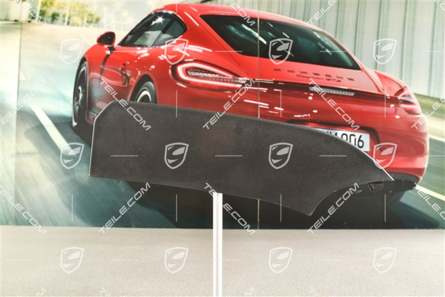 Disc / cover for front bumper retaining frame, centre, ACC, Black matte, R