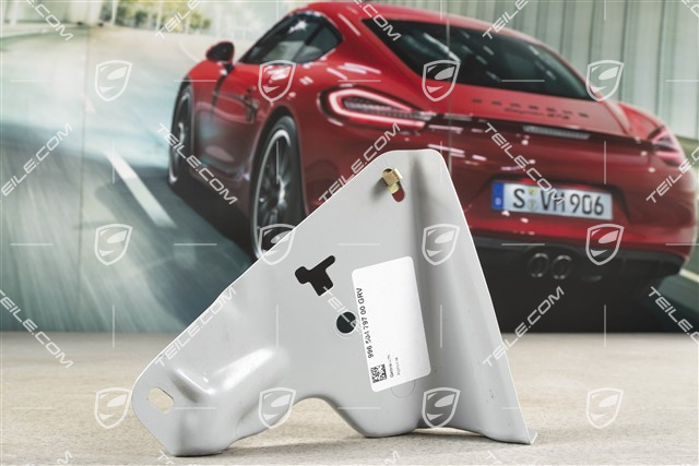 Podstawa pasa bezpieczeństwa, L