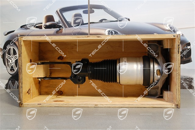 Federbein komplett, V8 4,8L 280KW / V8 Biturbo 4.8L 368KW, R
