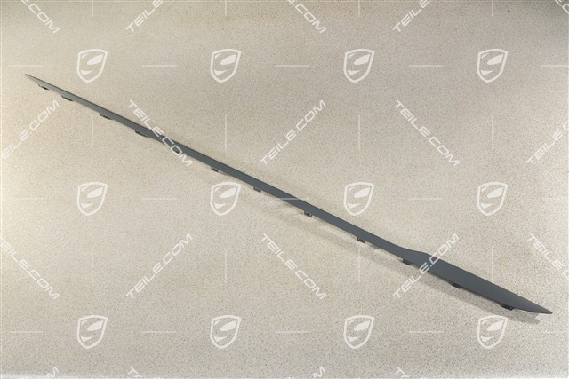 Zierleiste für Schwellerblende / Seitenschweller, R