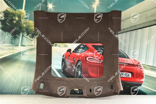 Dachverkleidung mit Glassschiebe/Austelldach, alcantara, Espresso