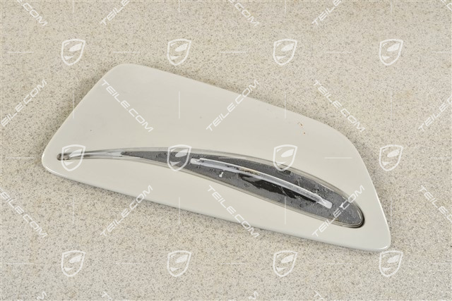 GT2RS wing plate for rear spoiler, R