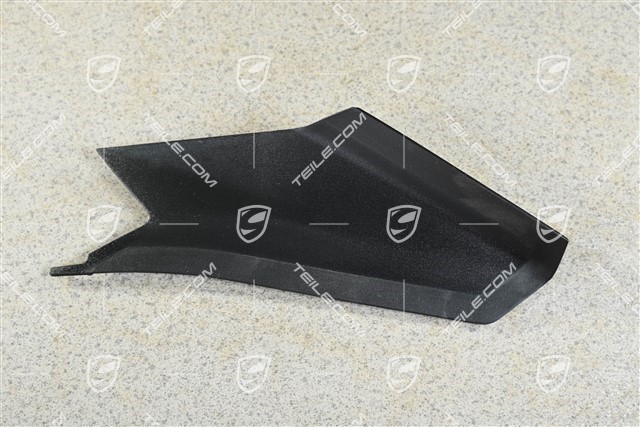 Obudowa / blenda lampy tylnej, R