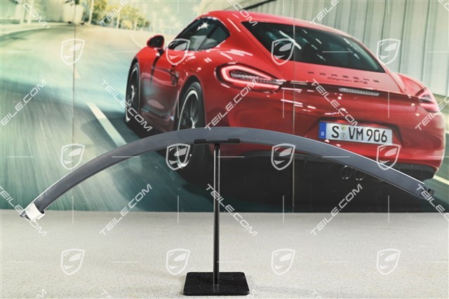 Radabdeckung, Kotflügelverbreiterung, Tür hinten, Lackierbar, R