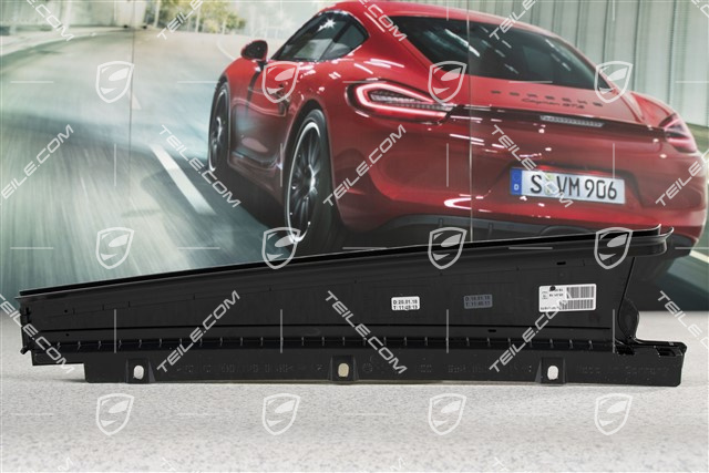 Rear door, B-pillar outer cover / trim, L