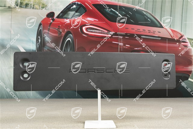 Podstawa tablicy rejestracyjnej, Duża (ECE)