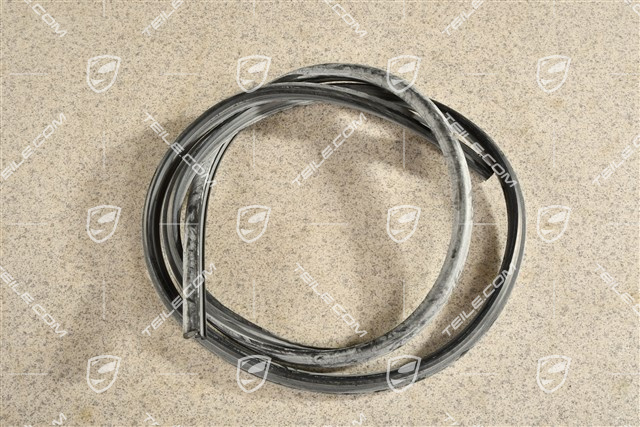 Trittbrett Profilleiste