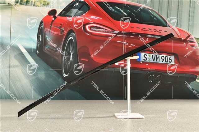 Zierleiste Tür hinten, Schwarz R