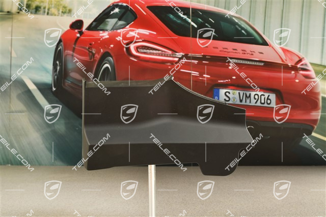 Targa, blenda skrytki dachu, boczna, czarna, L