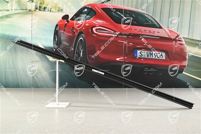 Listwa aluminiowa tylnych drzwi, czarny mat, L