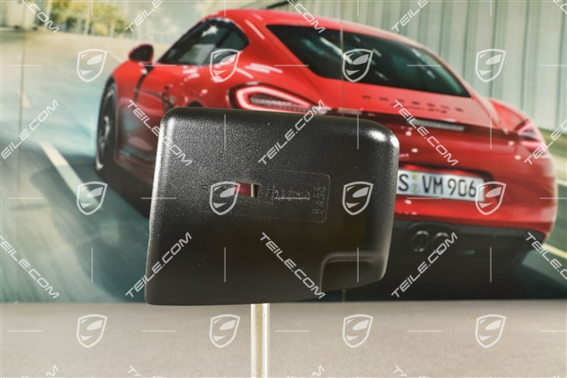 Tail light centre, trim, R