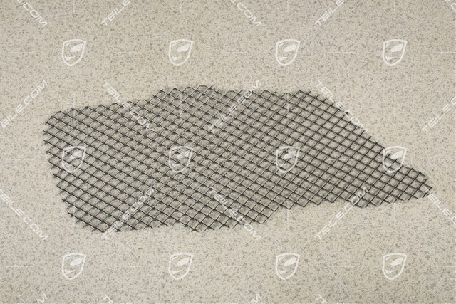 Lufteinlassgitter seitlich, R