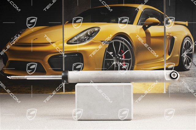 Stossdämpfer / Schwingungsdämpfer, Hinterachse, Luftfederung, PASM, PDCC, L=R Stossdämpfer / Schwingungsdämpfer, Hinterachse, Luftfederung, PASM, PDCC, L=R