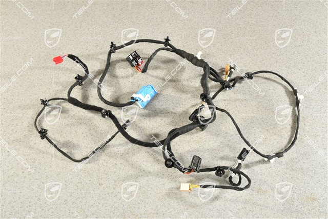 Wiązka elektryczna, drzwi pasażera, BOSE, R