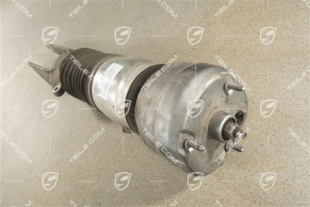 Federbein mit Luftfeder komplett, R