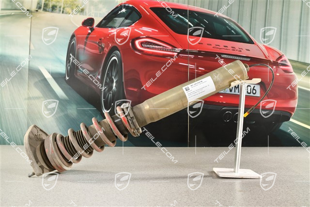 Stossdämpfer / Schwingungsdämpfer, VA, PASM, Komplett, GT4, L=R
