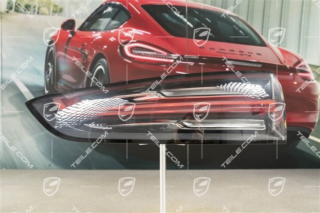 Lampa tylna, część zewnętrzna, L