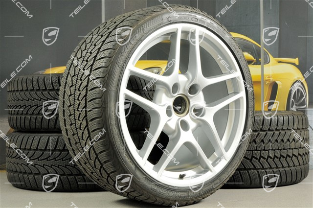 19" Winterräder Carrera S II, Felgen 8J x 19 ET57 + 11J x 19 ET67, Nokian WR Winterreifen 235/35 R19 + 295/30 R19, ohne RDK-Sensoren