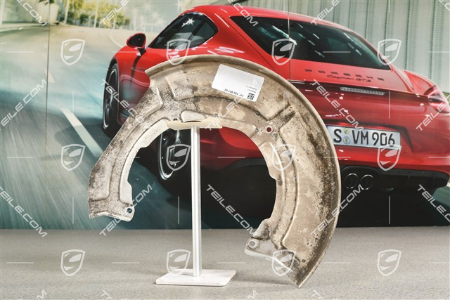 Osłona tarczy hamulcowej tylnej, PCCB, L