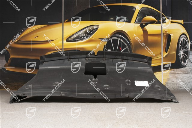 Luftfuehrung, mitte,  Panamera mit ACC