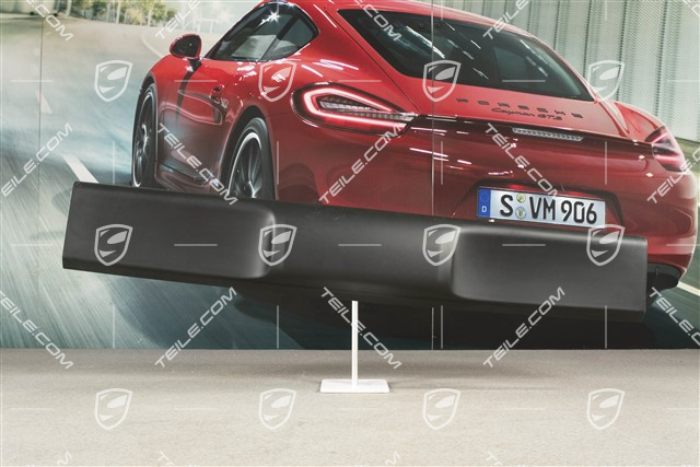 Verkleidung / Zierleiste Targa