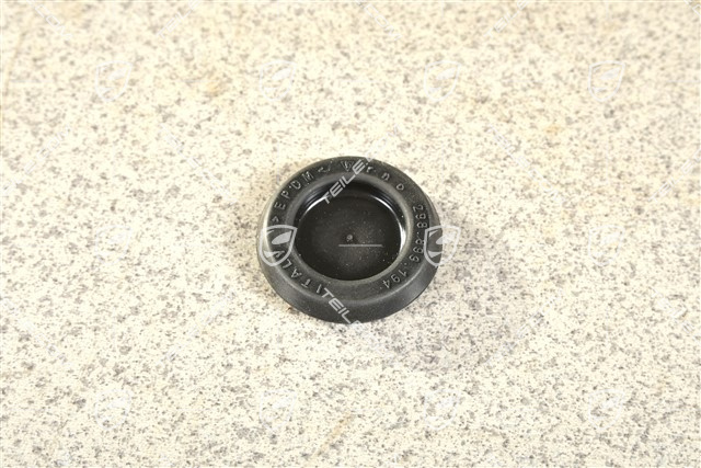 Zaślepka karoseryjna