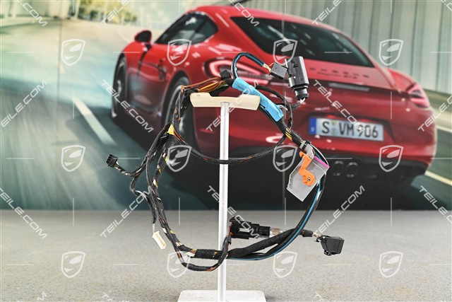 Wiązka elektryczna, drzwi kierowcy, L