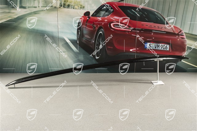 Führungsschiene, schwarz, R