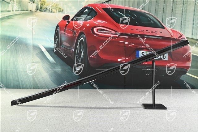 Hintertürleiste, Schwarz Hochglanz, R