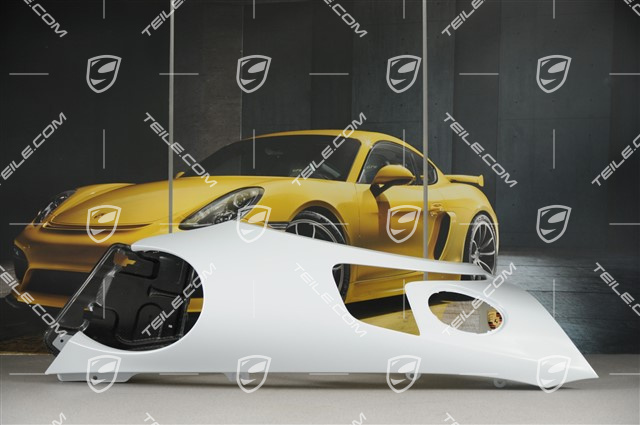 Wing, GT3RS II / GT2RS, Carbon, R