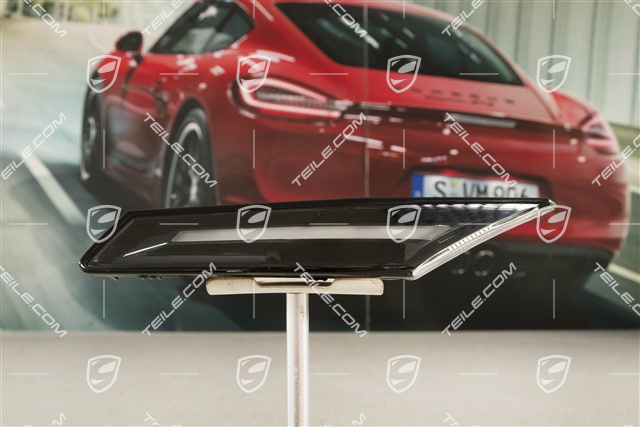 Blinkleuchte / Blinker, L