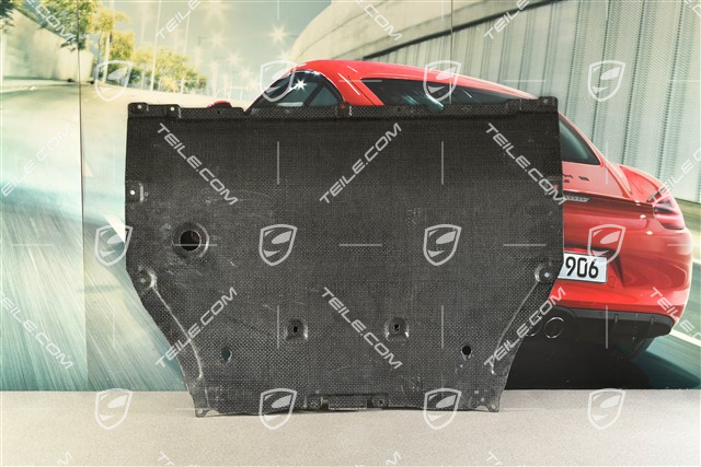 V6 / V8 Osłona podwozia, przednia część, pod silnik / zawieszenie standardowe