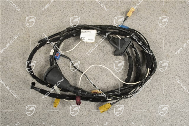 Wiązka instalacji elektrycznej, tył, 433,92MHz, R