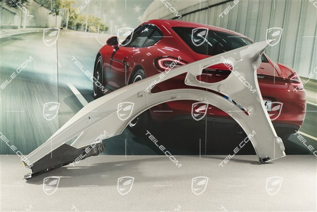 Kotflügel, GT3RS II / GT2RS, Carbon, R