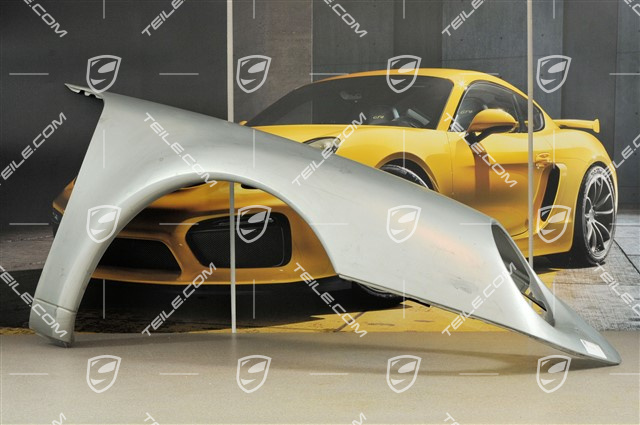 Błotnik, niekompletny, R