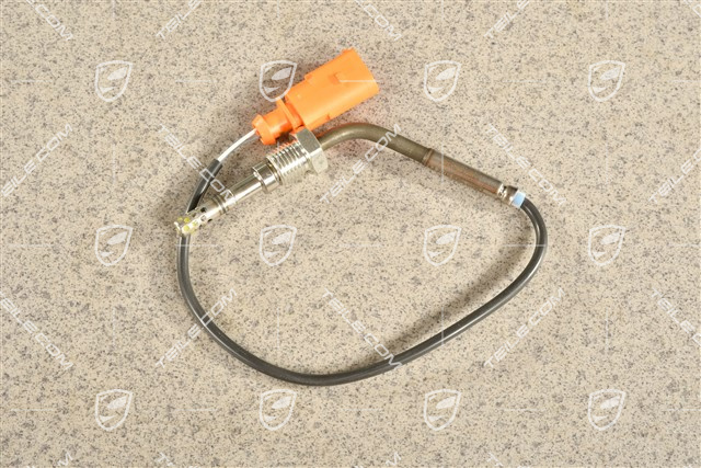 3,0 TDI, Czujnik temperatury spalin