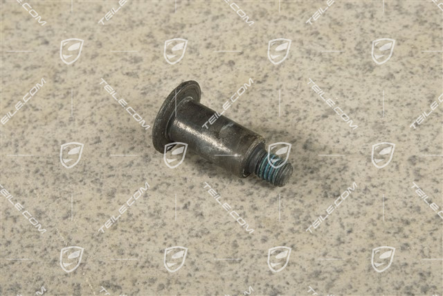 Bearing screw M6 x27