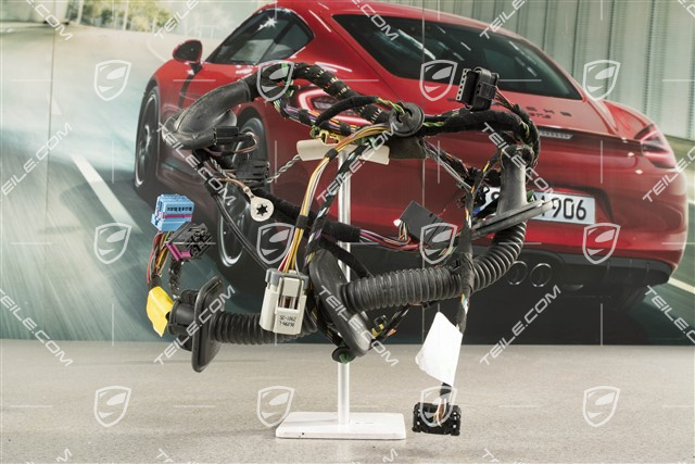 Wiązka instalacji elektrycznej drzwi pasażera, Bose, R