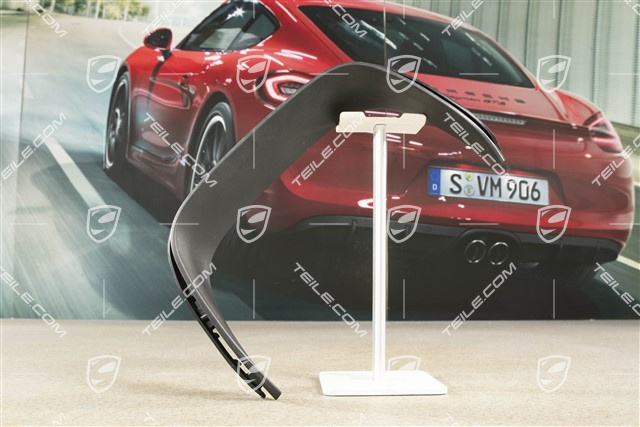 Tail pipe cover trim, Black matte