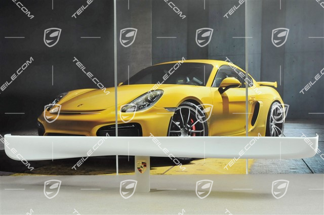 GT3 / Aero Kit Osłona progu, model 2000, R