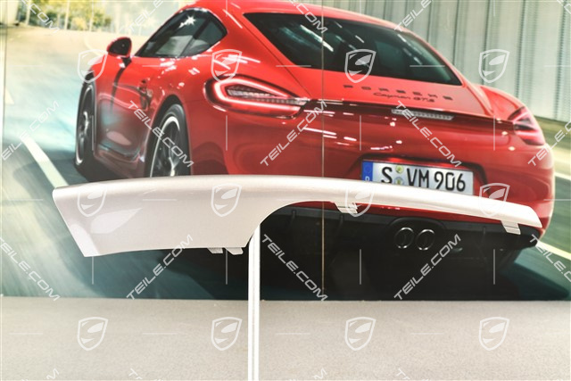 Front bumper disc / trim, lower, Platinum silver metallic, R