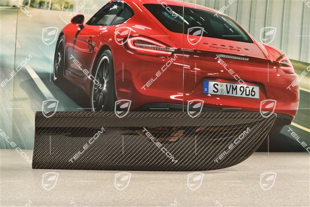 Rear door cover / trim, Carbon Gloss Black, L