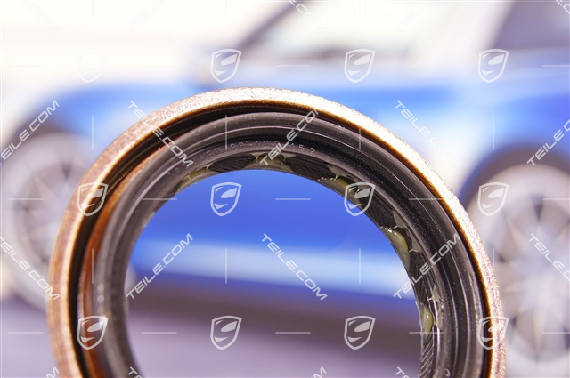 Transfer Case Output Radial Shaft Seal