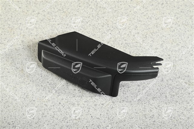 Tail light trim, L