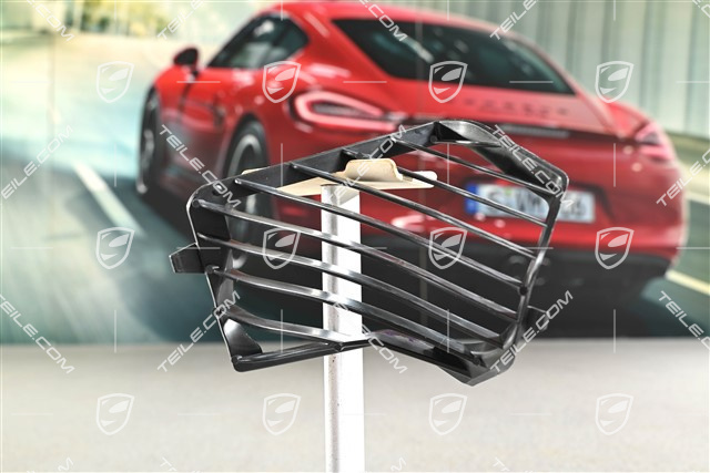 Ansauggitter, Panamera GTS + Turbo, R