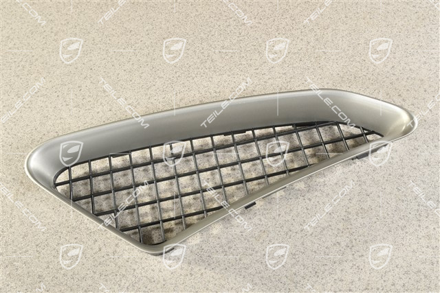 Air inlet grille, Titanium-Metallic, Spyder, L