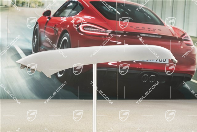 4 / 4S Facelift, Disc / cover upper for front bumper retaining frame, Titanium metallic, R