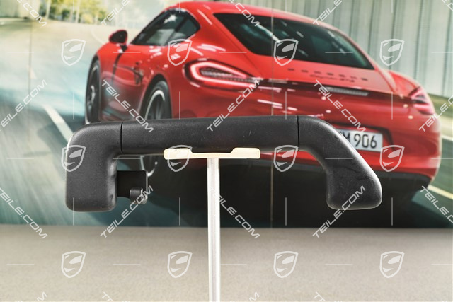 Haltegriff, Schwarz, Hinten, R